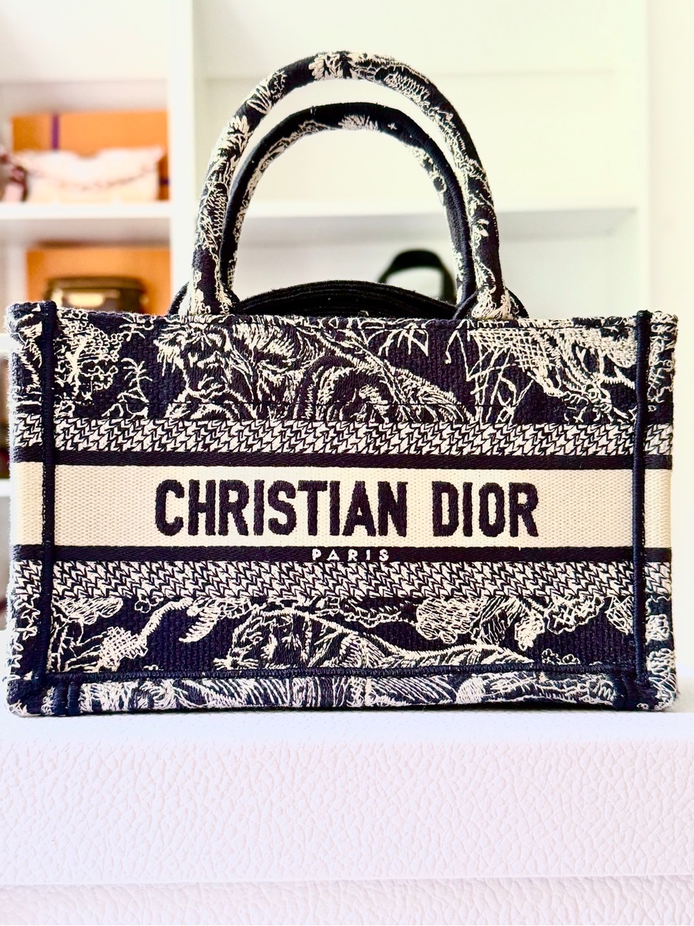 Mini Dior Book Tote Blue Toile de Jouy Reverse Embroidery